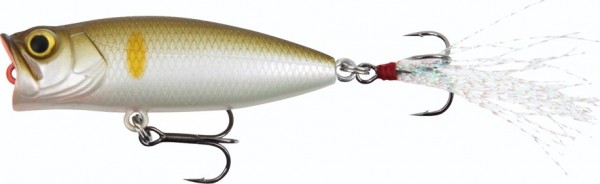 STUCKI FANATICS BUBBLE 5.5cm AYU