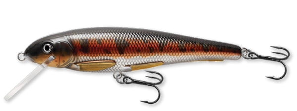 LIVE TARGET Sucker 21cm Metallic Red