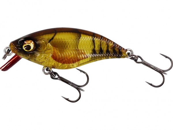Westin Hard Lures BuzzBite Crankbait 5cm 6g Low Floating Clear Brown Craw