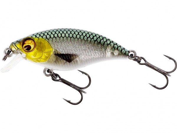 Westin Hard Lures BuzzBite Crankbait 5cm 6g Low Floating 3D Headlight