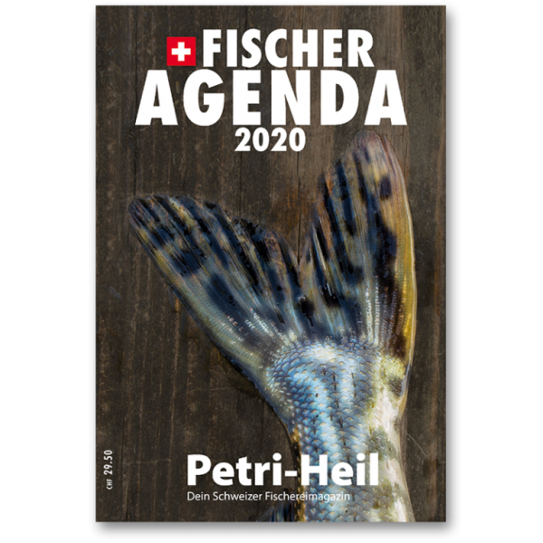Fischer - Agenda 2020