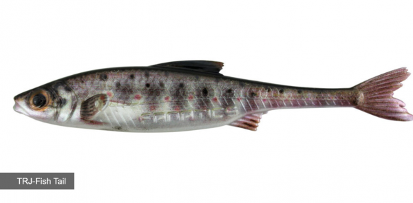 STUCKI FANATICS Real Rider Fish Tail 10cm - TRJ